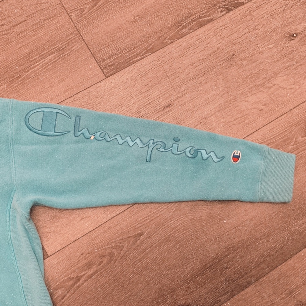 Blue Reverse Weave Champion Hoodie